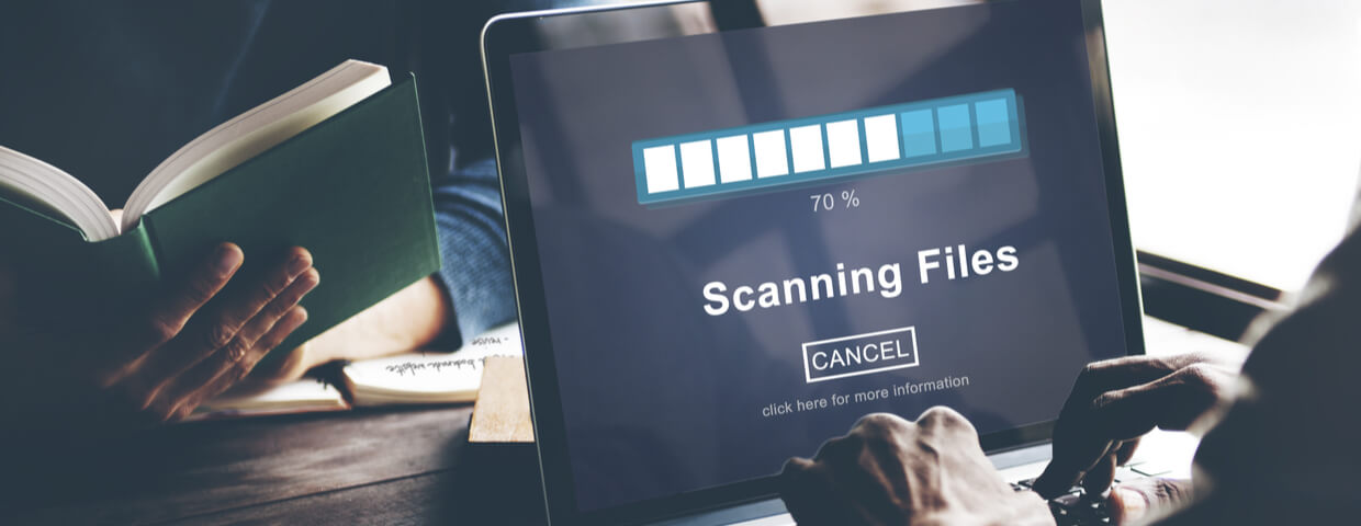The words 'scanning files' on computer screen.