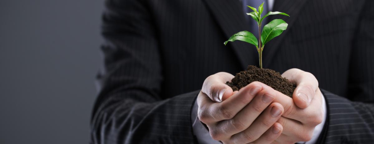 businessman holding seedling plant