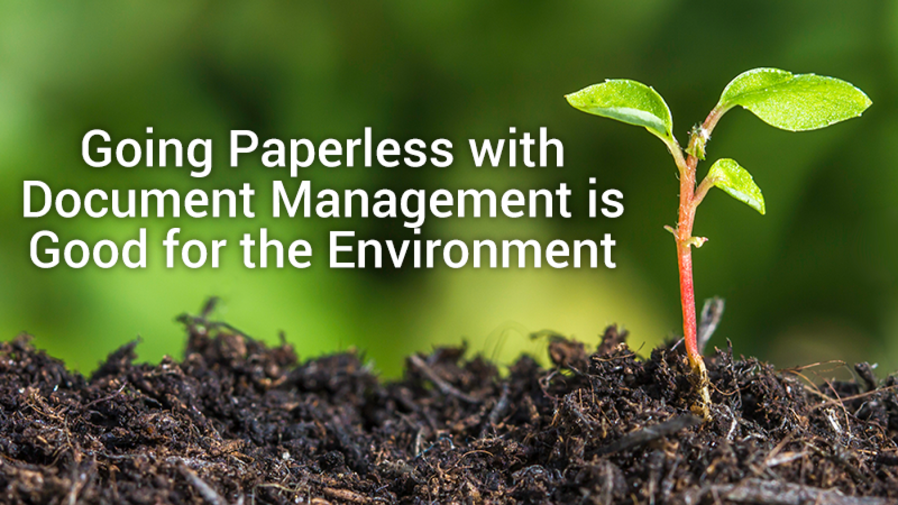 Going Paperless with Document Management is Good for the Environment
